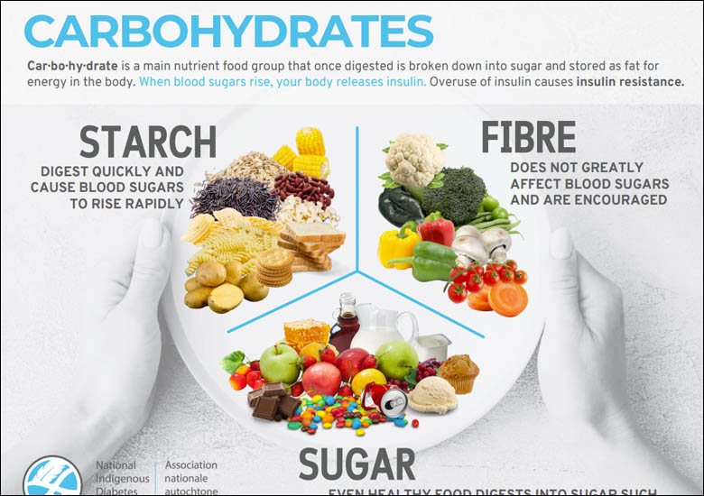 Brochures and Posters